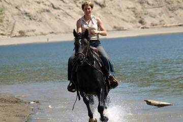 Horseback riding