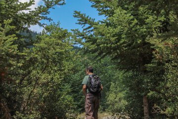 Hiking