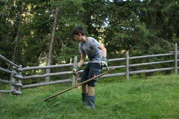 Photo 21