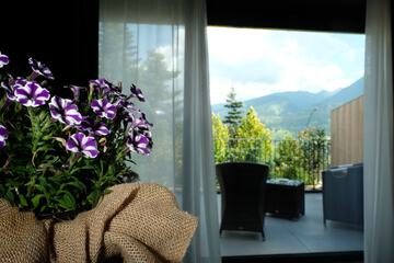 View from room