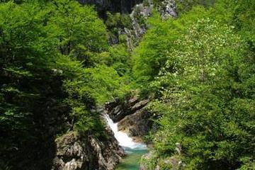 Photo 46