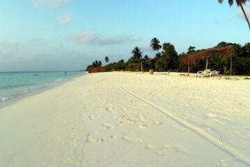 Beach or Ocean View