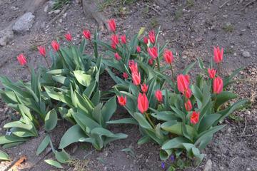 Photo 43
