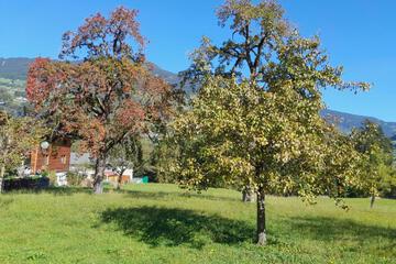Photo 33