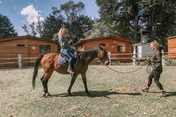 Horseback riding