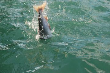 Fishing