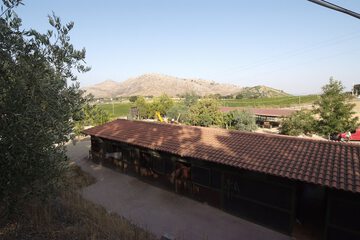 Sports facility