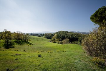 Hill view