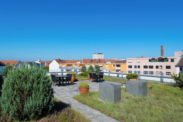 Rooftop terrace