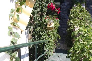 Photo 38