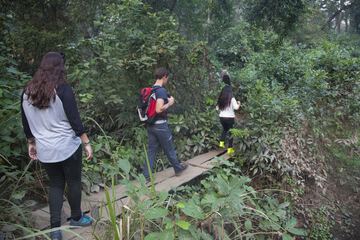 Hiking