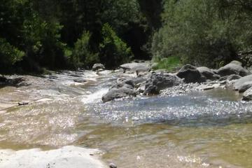 Photo 53