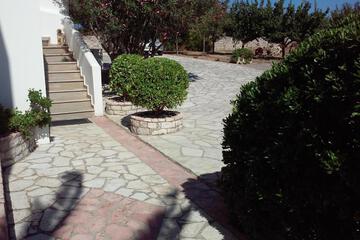 Photo 56