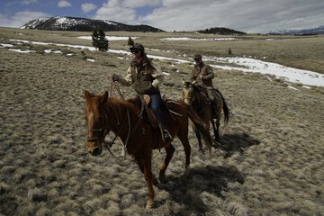 Horseback riding