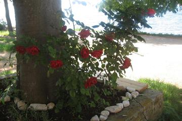 Photo 37