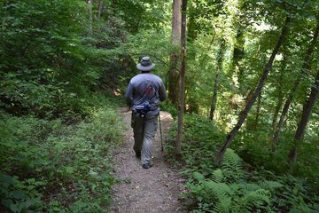 Hiking