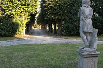 Photo 33