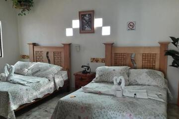 Photo 24