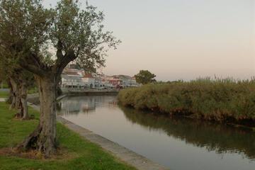 Photo 54