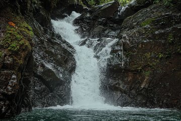 Ecotours