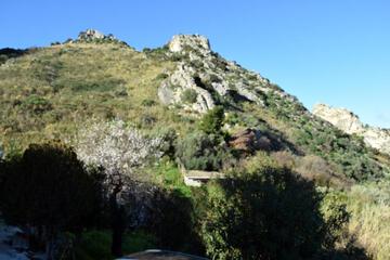 Photo 50