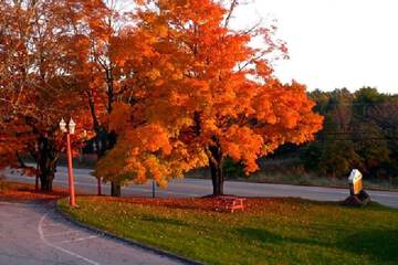 Property Grounds 20 of 20