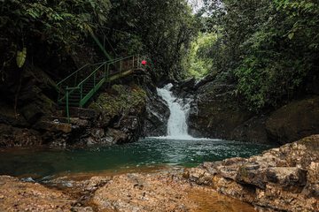 Ecotours