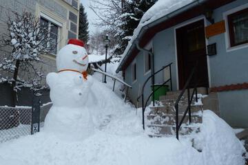 Photo 45