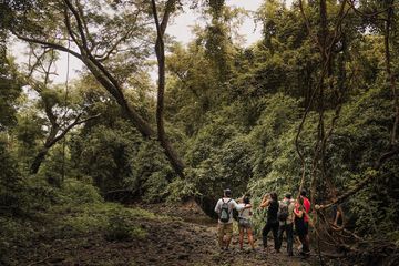 Hiking
