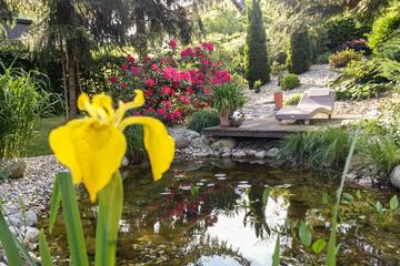 Photo 35