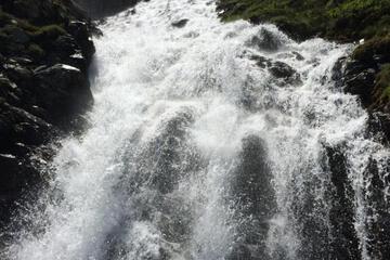 Photo 50