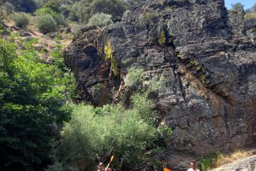 Photo 48