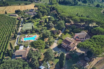 Vineyard