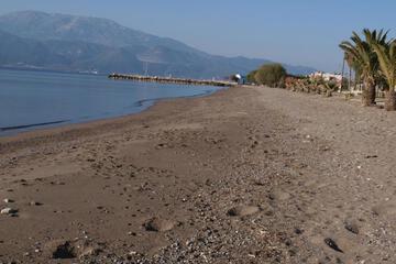 Photo 46