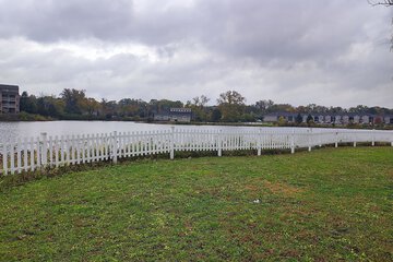 Lake view