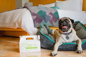 Pet-friendly