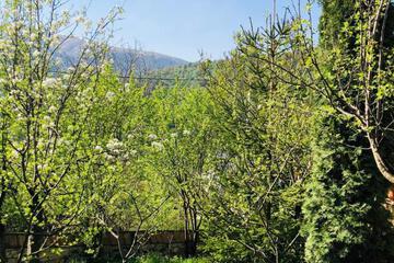 Photo 43