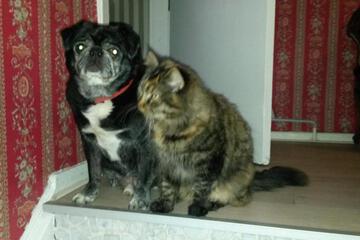 Photo 52