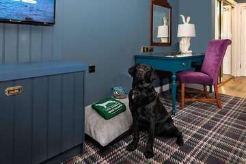 Pet-friendly amenities