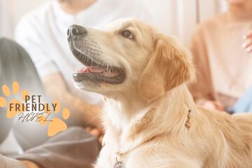Pet-friendly amenities
