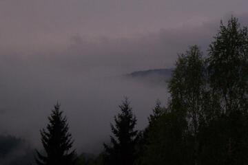 Photo 52