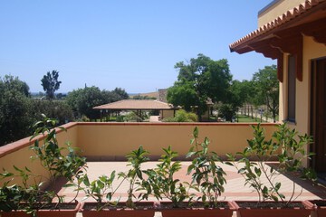 View from room