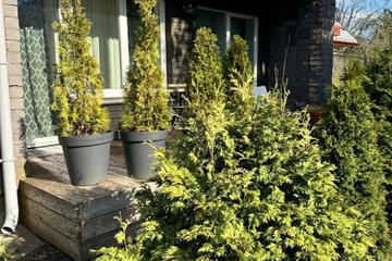 Photo 23
