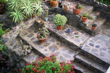 Photo 31