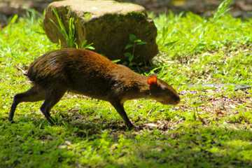 Ecotours