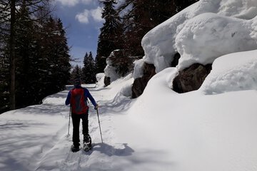 Hiking