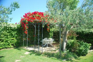 Photo 47