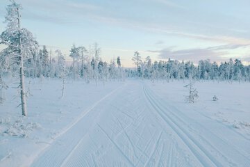 Skiing