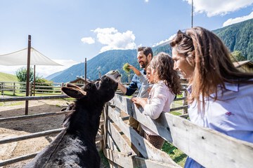 Game viewing
