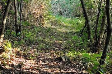 Hiking